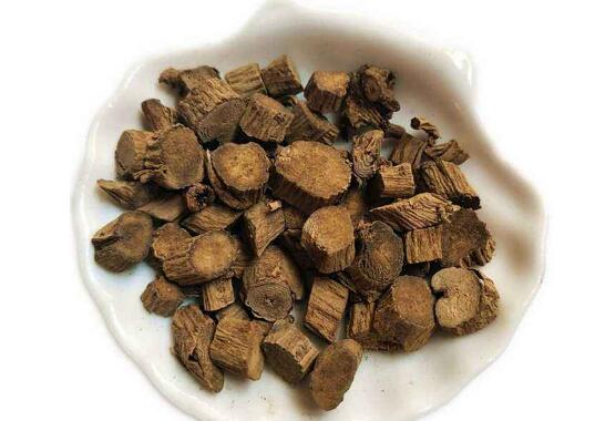 川牛膝能活血化瘀强壮筋骨